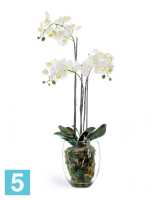 Композиция из искусственных цветов Орхидея Фаленопсис белая с мхом, корнями, землей 85h TREEZ Collection