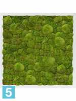 Картина из искусственного мха сатин блеск 100% шаровый мох светлый фон l-60 w-60 h-6 см в #REGION_NAME_DECLINE_PP#