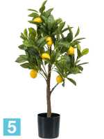 Лимонное искусственное Дерево Разветвленное h-72 см в #REGION_NAME_DECLINE_PP#