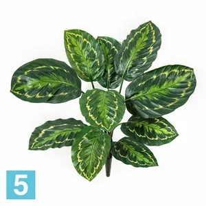 Калатея Розеопикта искусственная зелёная куст TREEZ Collection 48h