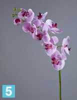 Искусственный цветок для декора Орхидея Фаленопсис Мидл белая с сирен. крапинами TREEZ Collection в Москве