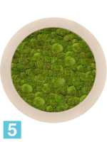 Картина из искусственного мха polystone natu 100% шаровый мох d-60 h-5 см в Москве