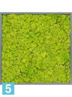 Картина из искусственного мха атласный блеск 100% олений мох (весенний зеленый) l-80 w-80 h-6 см в Москве