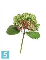Искусственный цветок для декора Гортензия крупно-цветковая (серия MDP) светло-зеленая с бордо TREEZ Collection в #REGION_NAME_DECLINE_PP#