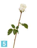 Искусственный цветок для декора Роза Аква белая с нежно-розовой каймой TREEZ Collection в Москве