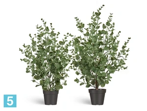 Искусственный Эвкалипт TREEZ Collection припылённо-зеленый куст 92h