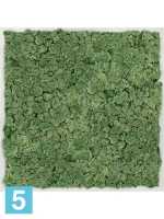 Картина из искусственного мха алюминий 100% олений мох (мох зеленый) l-70 w-70 h-6 см в Москве