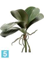 Листья орхидеи фаленопсис с корнями искусственные h-30 см в #REGION_NAME_DECLINE_PP#