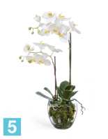 Композиция из искусственных цветов Орхидея Фаленопсис белая с мхом, корнями, землей 60h TREEZ Collection