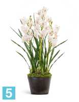 Искусственный цветок в горшке Орхидея Цимбидиум куст белый 3 ветки с имитацией земли (без кашпо) TREEZ Collection