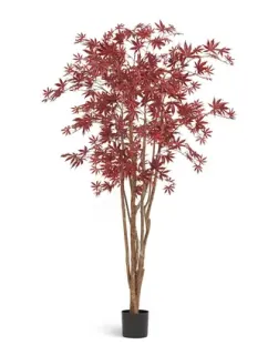Искусственный клён японский Вайлд красный TREEZ Collection 180h