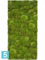 Картина из искусственного мха stiel l матовая 100% шаровой мох l-100 w-50 h-6 см в Москве