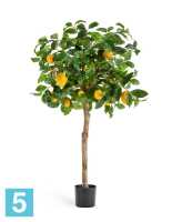Лимонное дерево искусственное TREEZ Collection с плодами на штамбе 110h