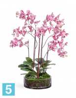 Композиция из искусственных цветов Орхидея Фаленопсис большая т.сиреневая в стекле с мхом, корнями, землей TREEZ Collection