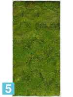 Картина из искусственного мха stiel l матовая 100% плоский мох светлый фон l-100 w-50 h-6 см в Москве