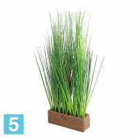 Осока искусственная Alseed, h-60, эконом, в кокосовом боксе, 25*8*8