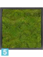 Картина из искусственного мха satin gloss 100% плоский мох l-40 w-40 h-6 см в Москве