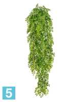 Рута Гравеоленс зелёная куст ампельный искусственный TREEZ Collection 65h в #REGION_NAME_DECLINE_PP#