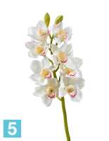 Искусственный цветок для декора Орхидея Цимбидиум белая ветвь средняя TREEZ Collection в #REGION_NAME_DECLINE_PP#