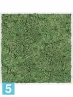 Картина из искусственного мха сатин блеск 100% олений мох (мох зеленый) l-100 w-100 h-6 см