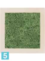 Картина из искусственного мха polystone натуральный 100% олений мох (мох зеленый) l-70 w-70 h-5 см в Москве