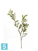 Искусственная Оливковая ветвь 80h зеленая (3 плода)