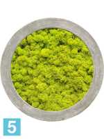 Картина из искусственного мха polystone raw grey 100% олений мох (весенний зеленый) d-80 h-5 см в Москве