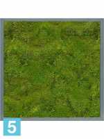 Картина из искусственного мха сатин блеск 100% плоский мох серый фон l-60 w-60 h-6 см в #REGION_NAME_DECLINE_PP#