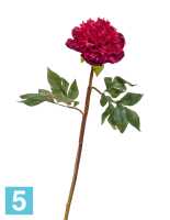 Искусственный цветок для декора Пион махровый бордовый TREEZ Collection в #REGION_NAME_DECLINE_PP#