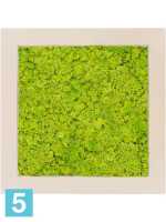 Картина из искусственного мха polystone натуральный 100% олений мох (весенний зеленый) l-70 w-70 h-5 см в Москве