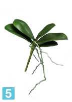 Искусственные листья Орхидеи Фаленопсис-мини TREEZ Collection в #REGION_NAME_DECLINE_PP#