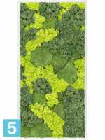 Картина из искусственного мха сатин блеск 30% шаровый мох 70% олень мох (микс) светлый фон l-120 w-60 h-6 см