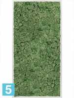 Картина из искусственного мха алюминий 100% олений мох (мох зеленый) l-120 w-60 h-6 см в #REGION_NAME_DECLINE_PP#