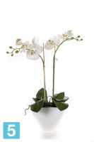 Искусственный цветок в горшке Орхидея Фаленопсис 50h белая (в овальном белом глянцевом керамическом кашпо) в #REGION_NAME_DECLINE_PP#