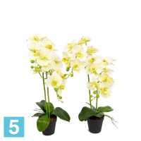 Орхидея искусственная Alseed, h-60 см., латекс, в техническом горшке, d-11 см., молочная в #REGION_NAME_DECLINE_PP#