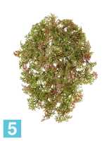 Искусственный Ватер-грасс (Рясковый мох) куст зеленый с бордо TREEZ Collection