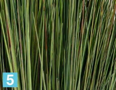 Искусственная трава Осока куст с зелеными султанами TREEZ Collection в #REGION_NAME_DECLINE_PP#