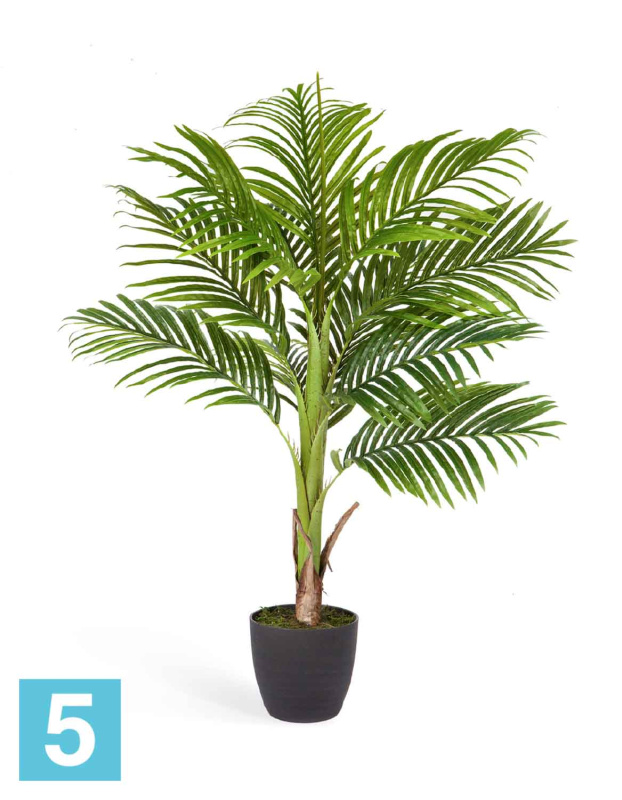 Пальма искусственная TREEZ Collection Арека Бетель 110h