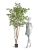 Искусственный клён японский Вайлд зелёный TREEZ Collection 240h