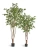 Искусственный клён японский Вайлд зелёный TREEZ Collection 180h