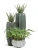 Кашпо TREEZ Effectory Aura Низкая Design-чаша, жемчужный лак 53-d, 31-h
