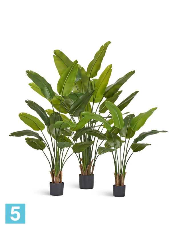 Искуственная стрелиция New Style с UV-защитой (Sensitive Botanic) TREEZ Collection 160h
