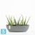 Настольное Кашпо Ecopots Sofia Long, серое 30-l, 13-w, 14-h