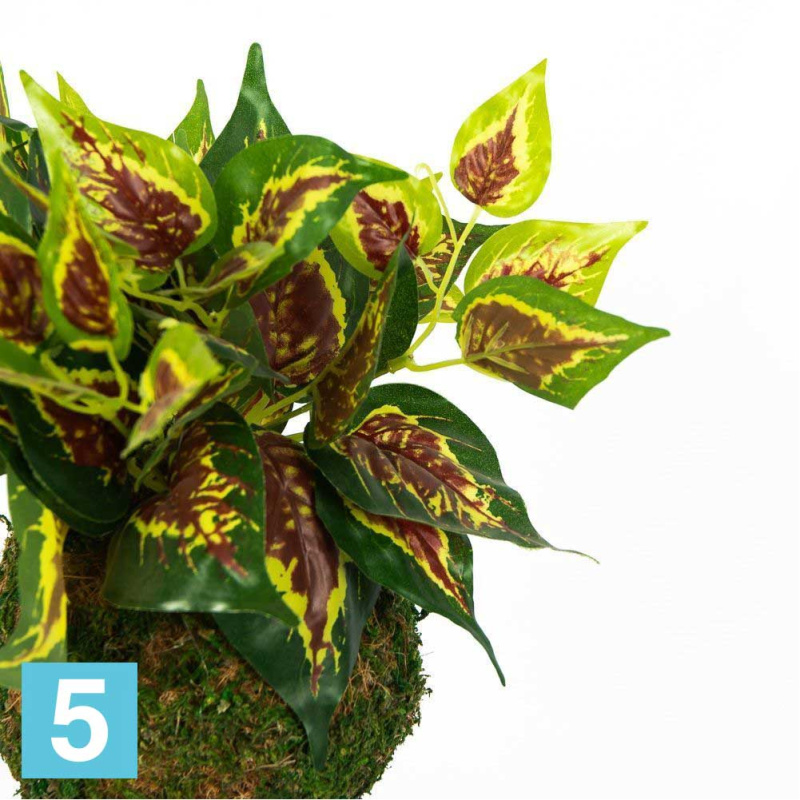 Кокедама искусственная Alseed, d-15 "Колеус", латекс