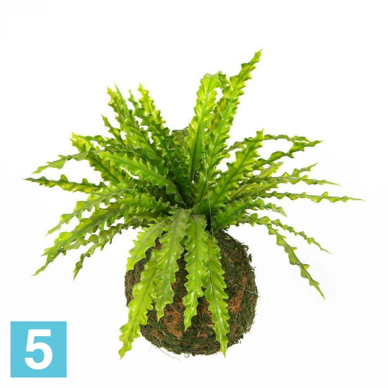 Кокедама искусственная Alseed, d-15 "Ламинария", зелен.