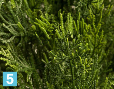 Туя уличная искусственная TREEZ Collection Смарагд Элегант 120h в #REGION_NAME_DECLINE_PP#