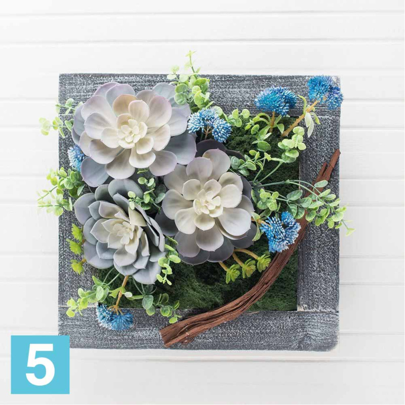 Фитокартина с суккул. в дер.раме искусственная Alseed, гол, 30*30