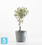 Настольное Кашпо Ecopots Amsterdam, серое 20-d, 18-h