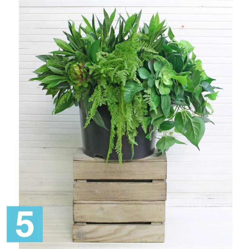 Композ. из суккулент. в кашпо искусственная Alseed, d-33, d-40