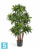Драцена Компакта искусственная TREEZ Collection 120h